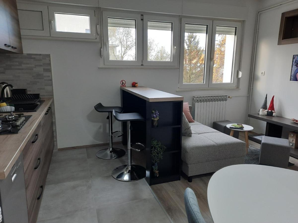 Apartman Ines Velika Gorica Luaran gambar